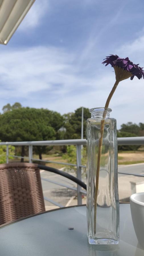 קומפורטה Alojamento Local Verde E Mar מראה חיצוני תמונה