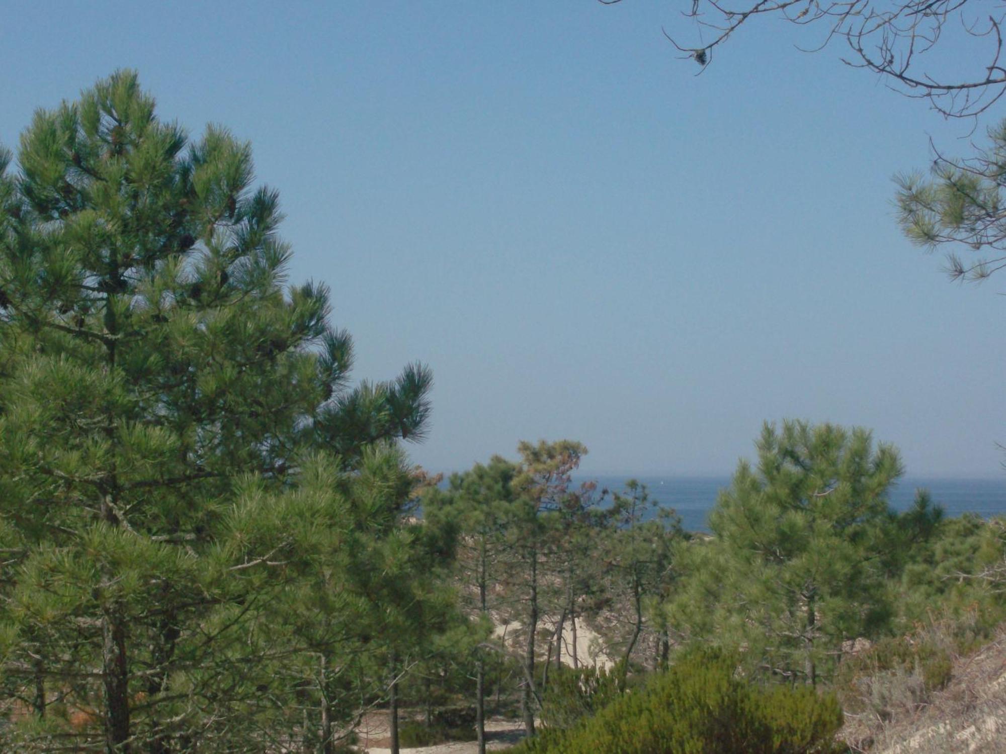 מלון קומפורטה Alojamento Local Verde E Mar מראה חיצוני תמונה