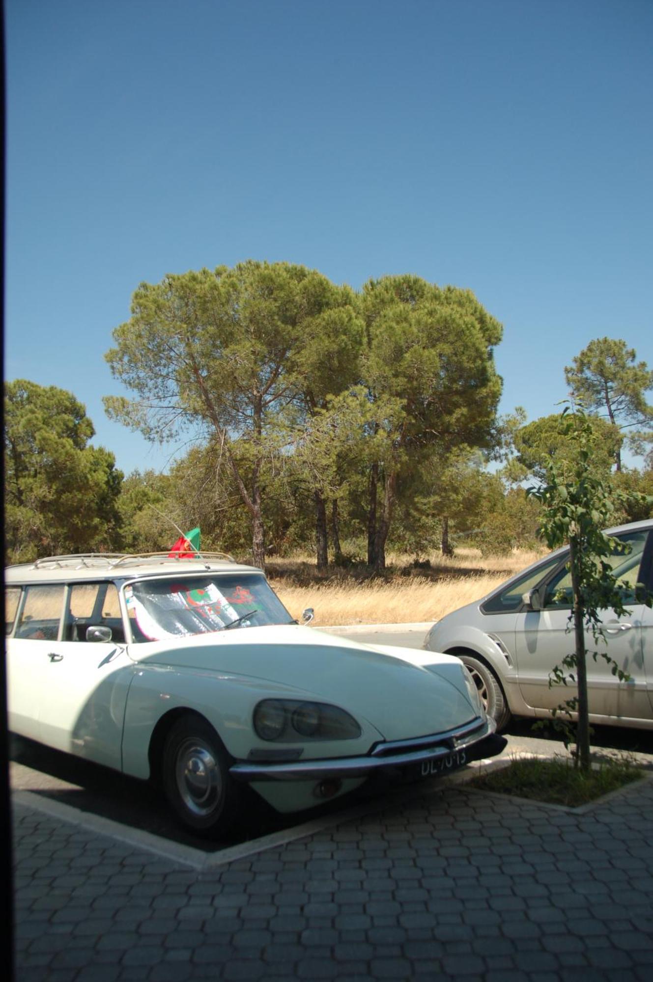 קומפורטה Alojamento Local Verde E Mar מראה חיצוני תמונה